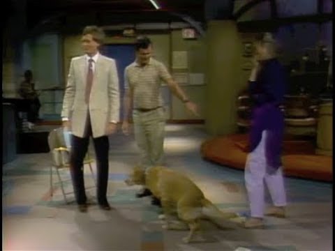 Stupid Pet Tricks on Letterman, August 10, 1982