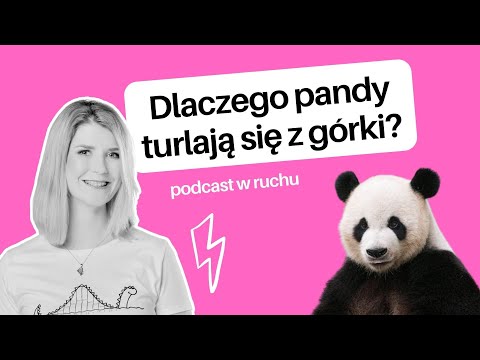 Do czego w biznesie przydaje się… zabawa? | Janina Bąk