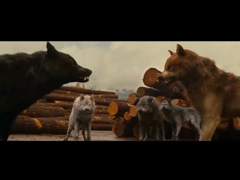 Волки - Руслан Добрый,Tural Everest 🔥🔥🐺🐺#волкимывночныхлесах#русландобрый #turaleverest #turan