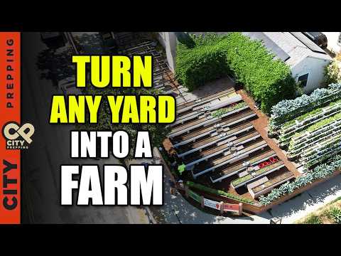 How a 1/10 Acre Microfarm Feeds 32 Families All Year Long
