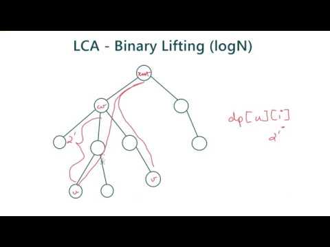 Lowest Common Ancestor  - O(logN) | Binary Lifting
