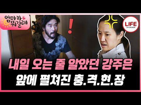 [#엄마가뭐길래] 더러운 집 안 들키기 1초 전! 집을 난장판으로 만들어 놓은 최민수 부자의 최후는? (TV CHOSUN 160310 방송)