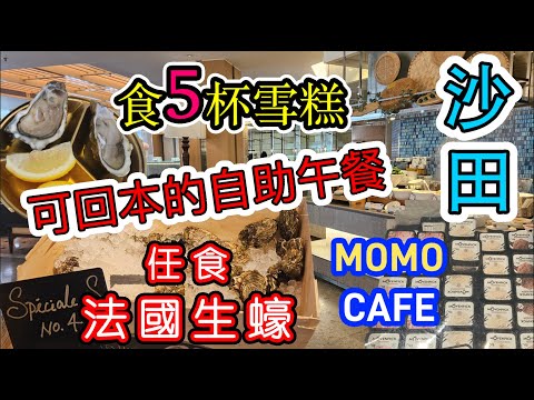 [香港自助餐系列]搶到快閃價✨️食5杯MOVENPICK雪糕🍨就可回本的自助午餐🍽任食法國生蠔🦪刺身 4款凍海鮮 甜品 沙田萬怡酒店 MOMO CAFE 石門站 香港美食 留港消費 自費項目 2025
