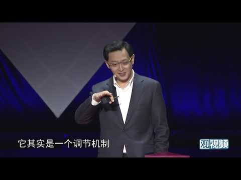 Apply 'Feedback Loop' in Political Systems | Four Positive Feedback + Two Negative Feedback