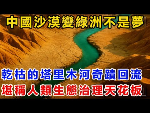 中國沙漠變綠洲不是夢！乾枯30年的塔里木河竟奇蹟回流！堪稱人類生態治理天花板！