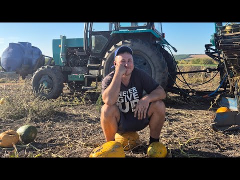 Conclusions. Pumpkins. Mistakes and what to sow next season.