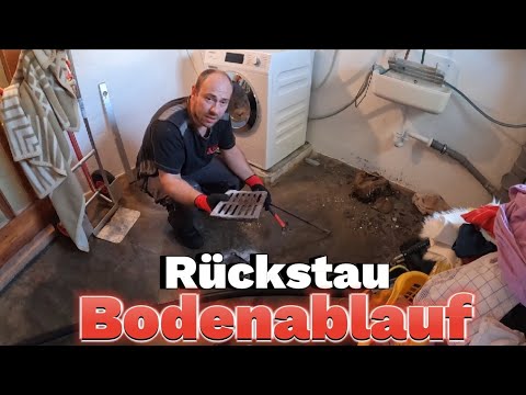 Rohrreinigung 99. Erste verstopfte Abfluss nach eine Woche