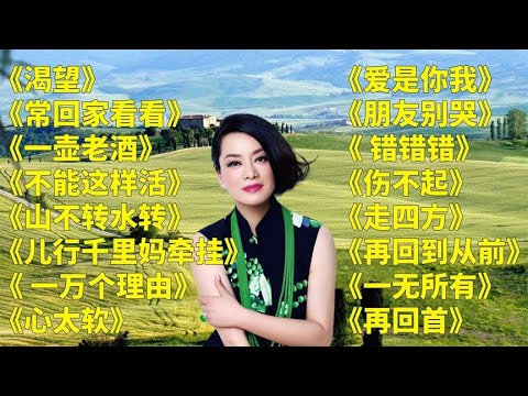 经典老歌u003C渴望u003Eu003C常回家看看u003Eu003C一壶老酒u003Eu003C不能这样活u003Eu003C山不转水转u003E