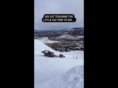 Skid Steer Skiing!