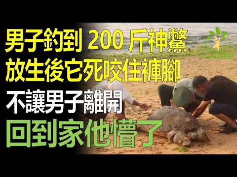 男子釣到200斤神鱉，放生後它死咬住褲腳不讓男子走，直到夜裏才離開，回到家他懵了！