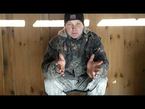 Бізнес на свинях з нуля