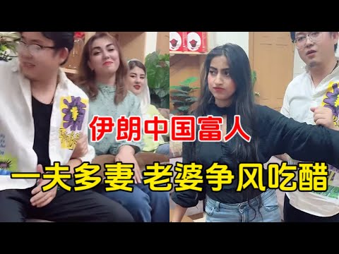 在伊朗做生意的中国富人，没羞没臊的一夫多妻生活，老婆们争风吃醋，抢着上位。