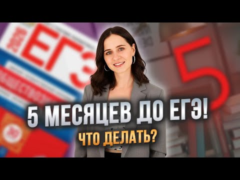АЛГОРИТМ ПОДГОТОВКИ К ЕГЭ за 5 месяцев | ОБЩЕСТВОЗНАНИЕ