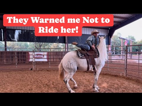 First Ride on Bucking bred horse! Raw footage of entire video