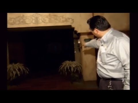 Tower Of Terror Lifespan