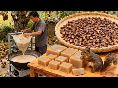 LOST ART: He Turns Wild, Toxic Acorns into Delicate 'Acorn Tofu' Jelly | 稀有美食 | 中國傳統美味 | ASMR