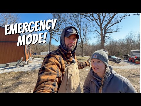 Survival First, Building Next | Our Coldest Day Yet