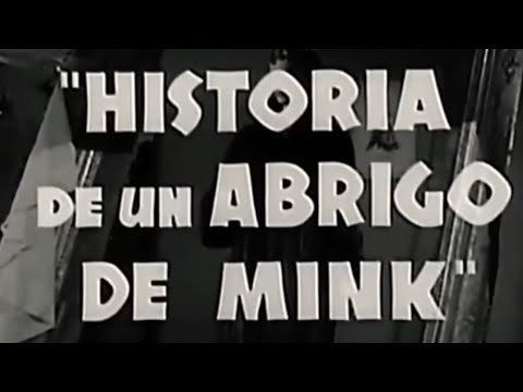 Historia De Un Abrigo De Mink