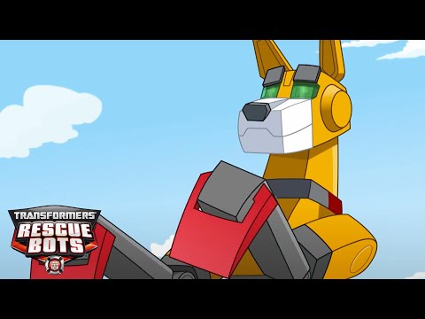 Servo Saves the Day! 🐕🤖 Kids Cartoon | Transformers Rescue Bots | Transformers TV