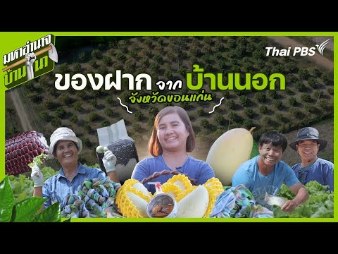 ของฝากจากบ้านนอก | มหาอำนาจบ้านนา