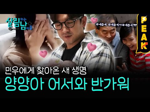 [#피크타임] 예정일을 넘긴 민우의 둘째, 무슨 문제라도 생긴 걸까? 숨 막혔던 양양이 출산의 순간 | #살림하는남자들 | KBS 251213 방송