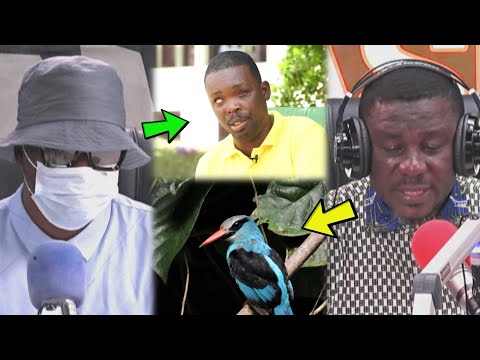 An Unknown Bird Slapped Me & I Became Blind Instantly- Man Shares Sc@ry Story 😳😳😳