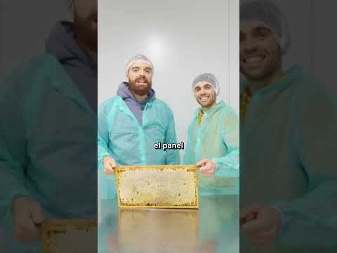 ¿Cómo hacer miel desde cero?