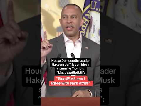House Minority Leader Hakeem Jeffries says “Elon Musk and I agree with each other” #shorts