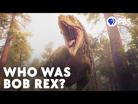 Why Is It So Hard to Tell the Sex of a Dinosaur?