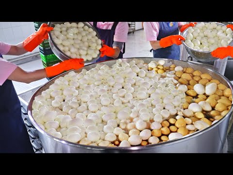9999 a day！Spicy Braised Egg, Iron Egg Making, Braised Dried Tofu/一天10000顆！西螺鐵蛋製作,最強滷豆干-安記鐵蛋