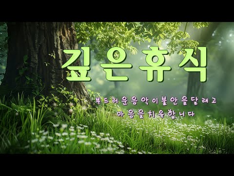 부드러운 음악이 불안을 달래고 마음을 치유합니다 | 신경 안정/깊은 휴식/마음  치유/아침명상/스트레스 완화/독서