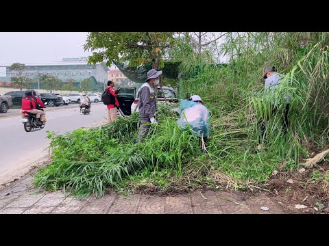 The sidewalk had not been cleared in over 6 years and behind the lawn was a surprise
