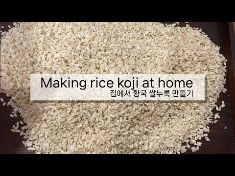The most reliable way to make rice koji at home without failure