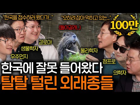 미국 초토화시킨 장수말벌이 한순간에 사라져버린 이유 | 과학을 보다 EP.117