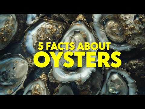 5 Mind-Blowing Facts About Oysters You Never Knew
