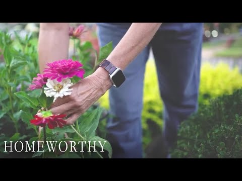 Perennials Anyone Can Grow: Easy & Stunning Picks l In the Garden with Linda Vater