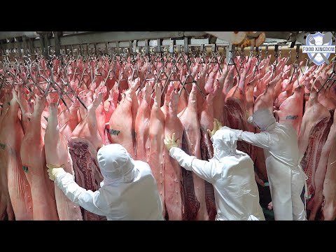 Amazing Korean Pork Processing Factory