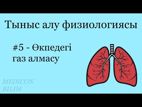 Өкпедегі газ алмасу | Газдар транспорты | Физиология | курсқа тіркелу👇