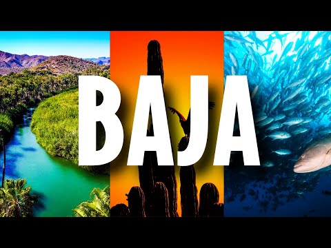 The PERFECT BAJA ROAD TRIP (Full Itinerary!)