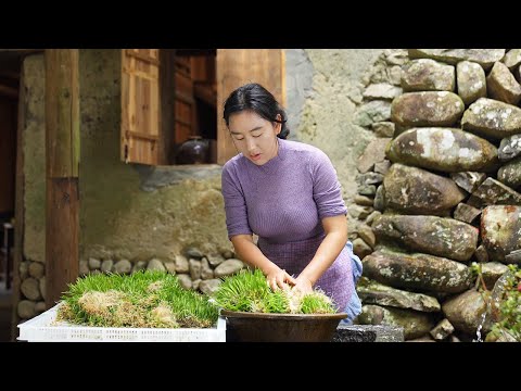 Maltose | Cook a pot of malt to reproduce the deliciousness of childhood. 【Shen Dan】