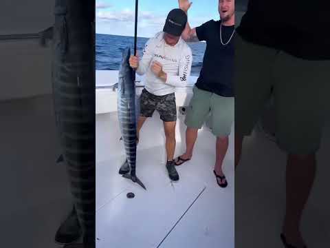 Catching a Wahoo on 20lb test! #shorts #fishing #fish #ocean #beach