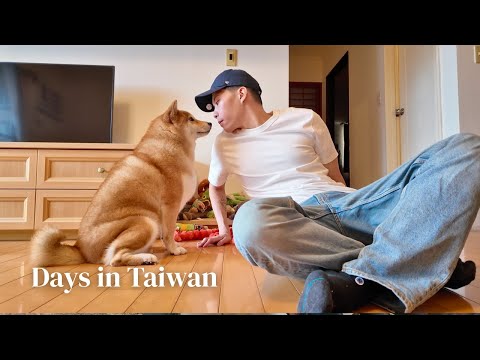 Taiwan VLOG 🇹🇼|The joy of going home is truly different 🏠 Taking ABC to eat Fu Hang Soy Milk, Kao...