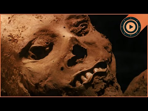 200-Year-Old Medical Secret Revealed In Ancient Mummy Tomb