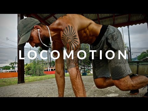 Locomotion Movement Training (better than cardio)
