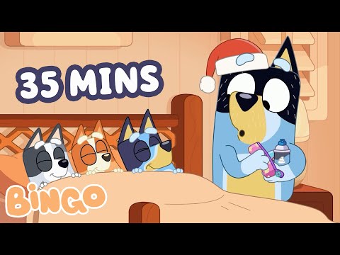Wind Down To Festive Moments With Bingo π΄π§‘ | Bingo - Official Channel