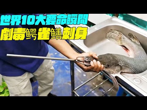 世界10大要命瞬間！劇毒鳄雀鳝刺身？印度美食 #街邊小吃 #印度小吃#搞笑視頻#SAIWEN 這味道ZER一下就上來了#維基紀錄片