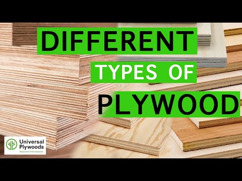 What are the 3 Different Types of Plywood you Can Buy at Universal Ply Durban South Africa