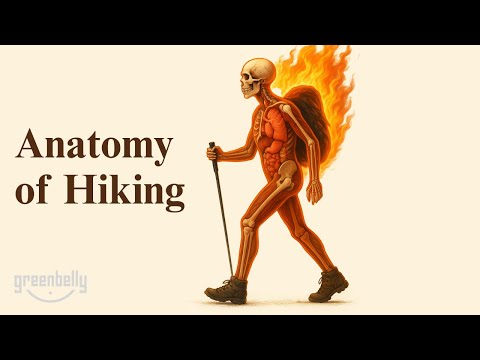 How Hiking TRANSFORMS Your Body