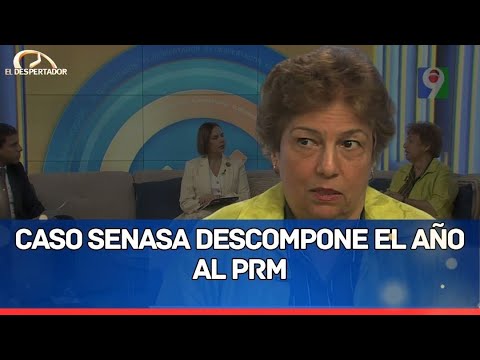 “Caso SeNaSa le descuadro el año político al PRM”, según Rosario Espinal Politóloga  | El Despertado