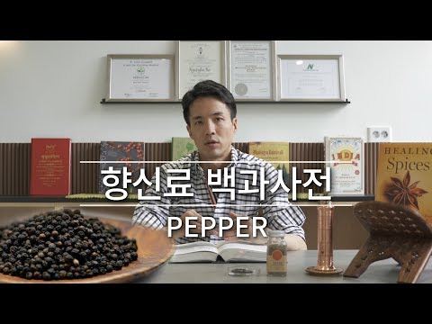 후추의 모든 것! 향신료 백과사전_슈리베다 아유르베다 Spice Encyclopedia_Shriveda Ayurveda